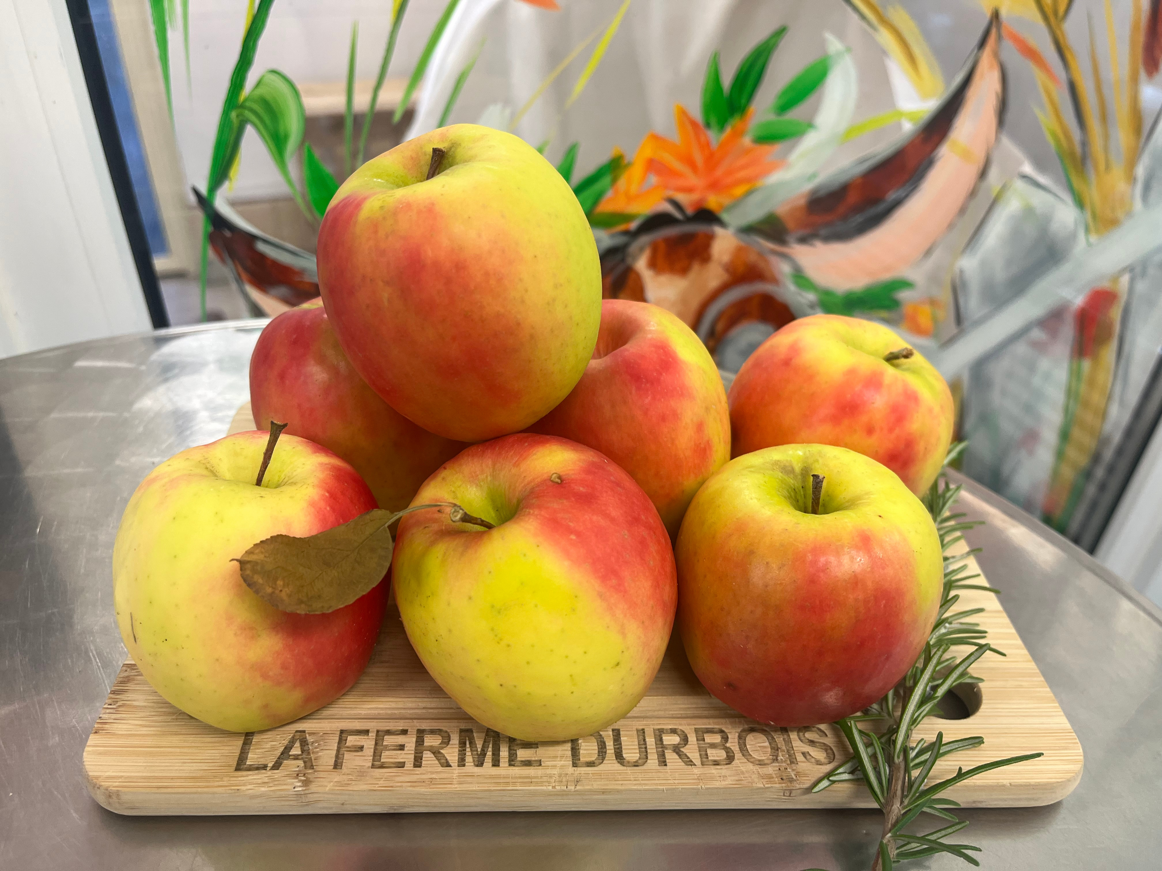 Pommes Pink Biz Betty Fidalgo - 1kg