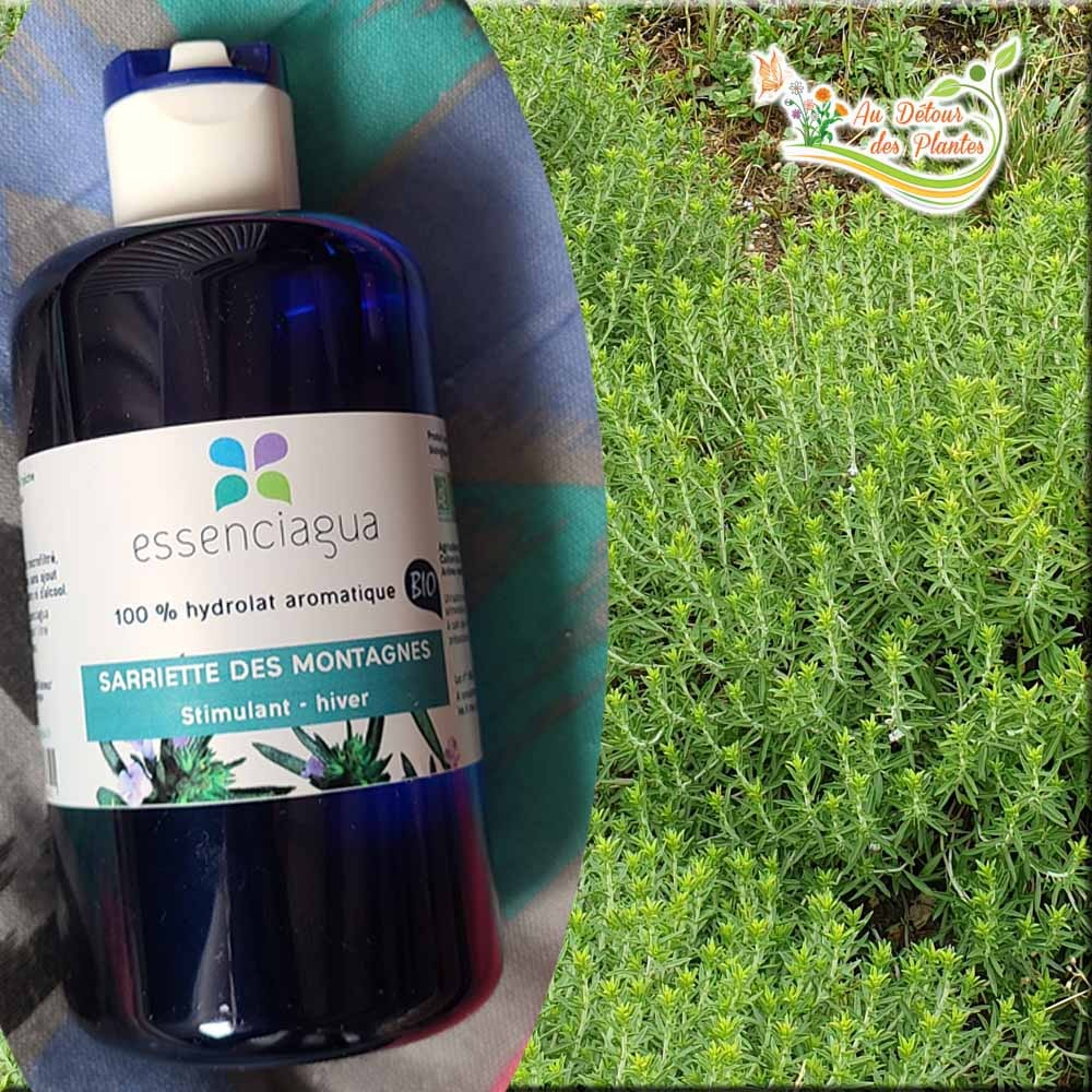 Hydrolat de Sarriette des Montagnes - 250ml