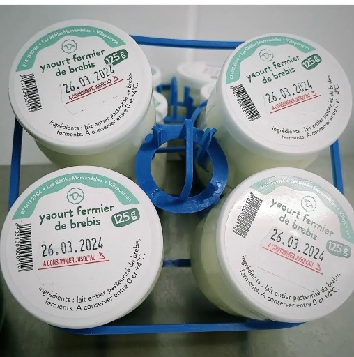 Yaourts de brebis nature -Lot de 4