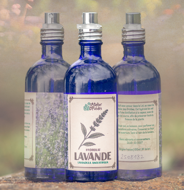 Hydrolat de lavande officinale - 100ml