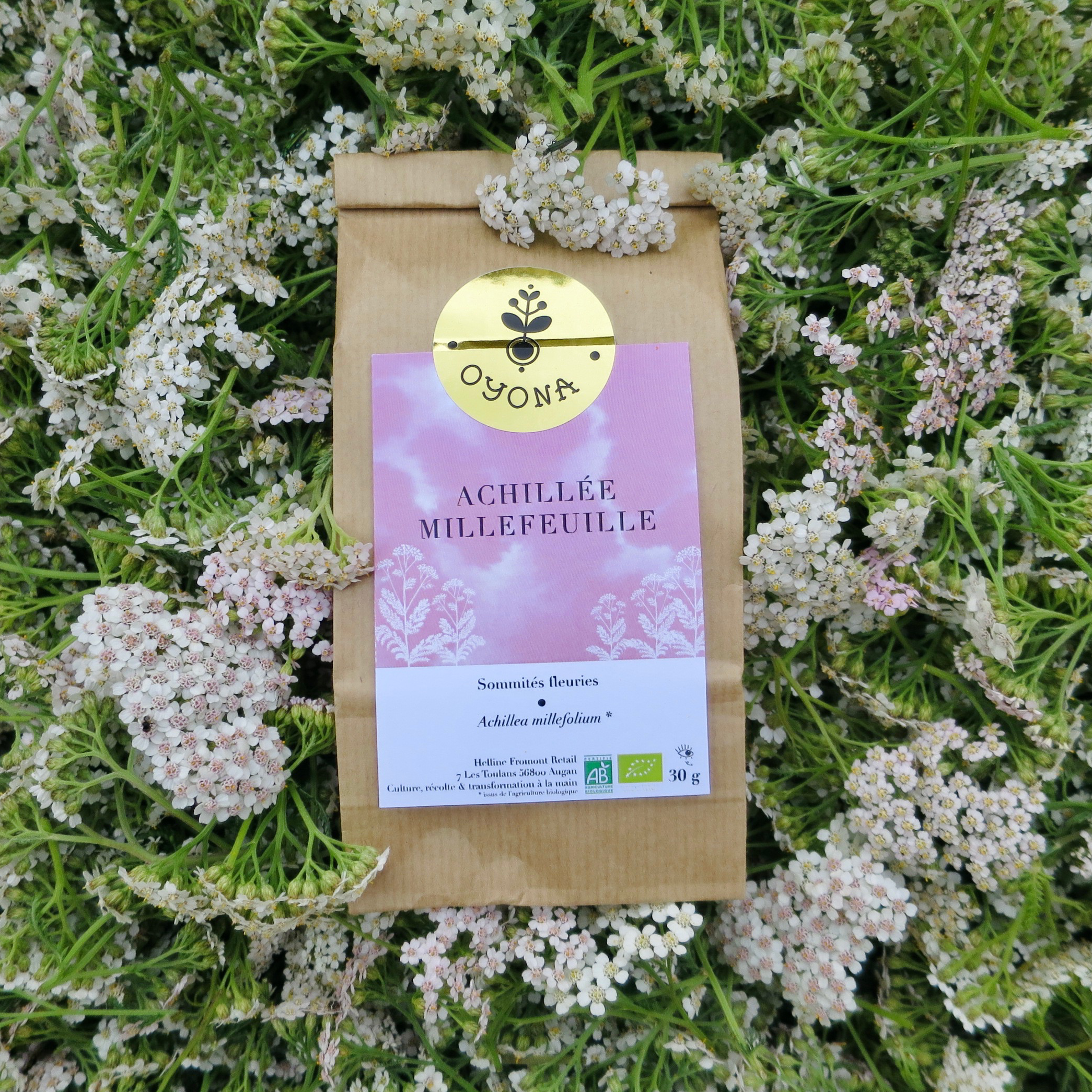 Achillée millefeuille - 30g