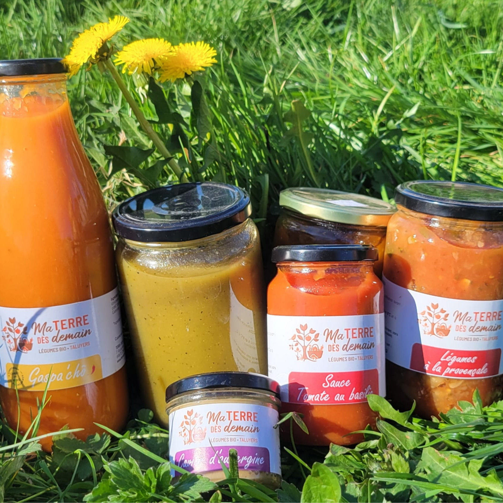 Légumes à la provençale - 698g