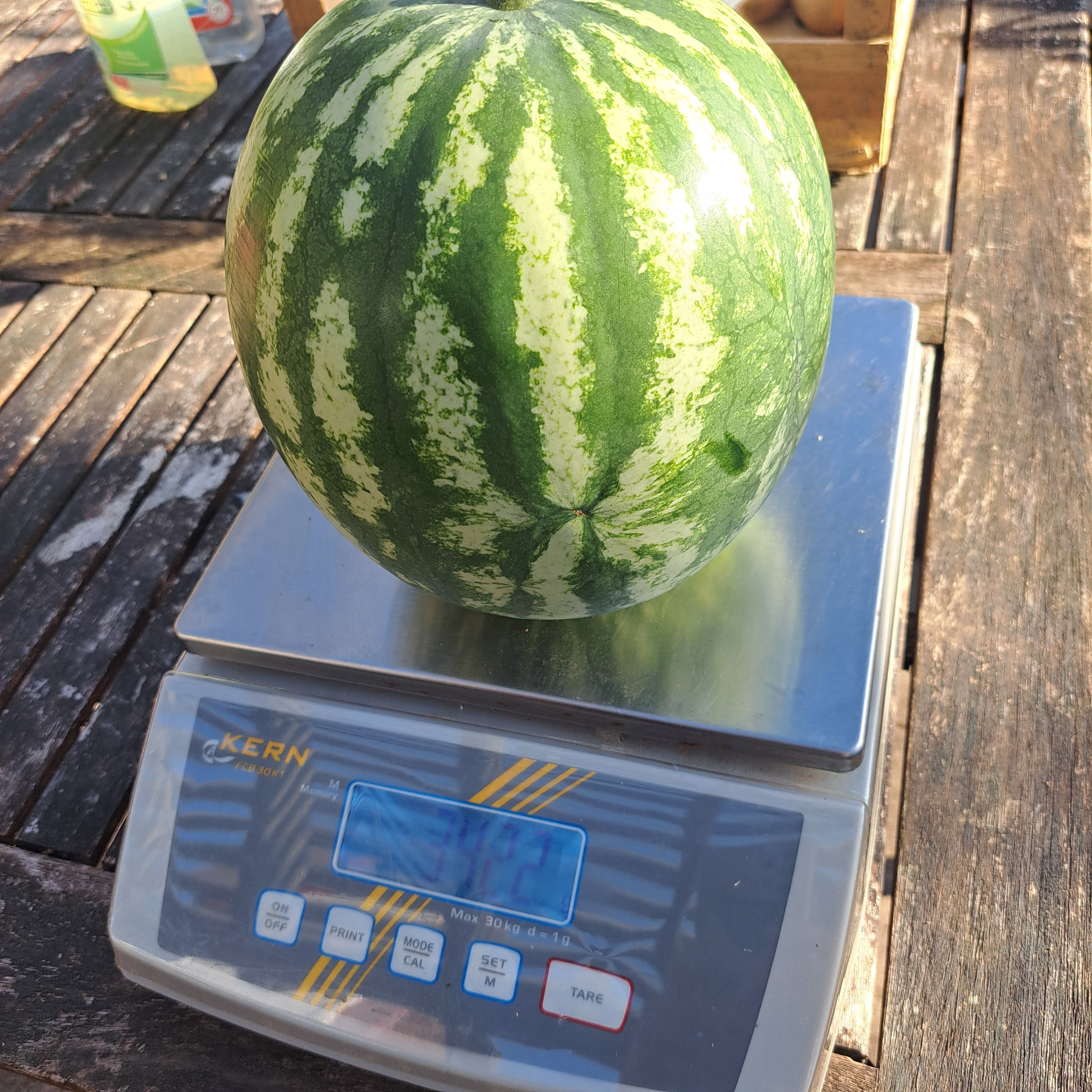 Pastèque entière - 3kg