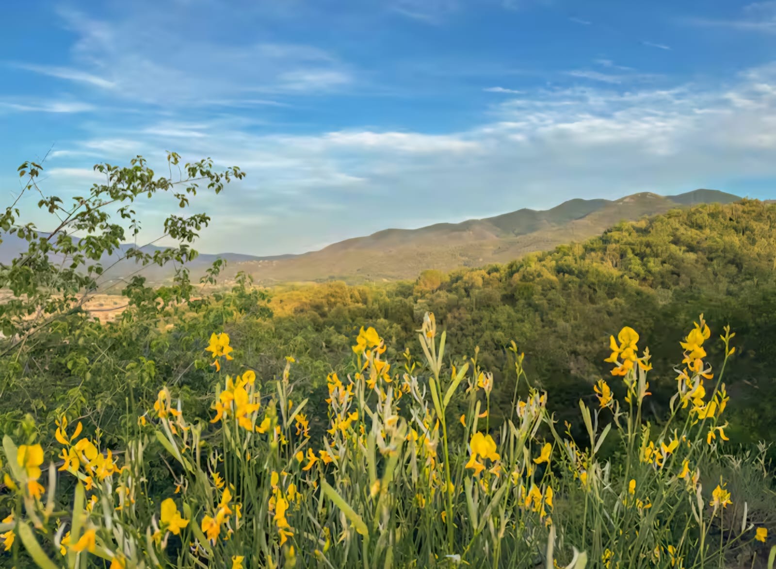 Balade sensorielle (1h30)