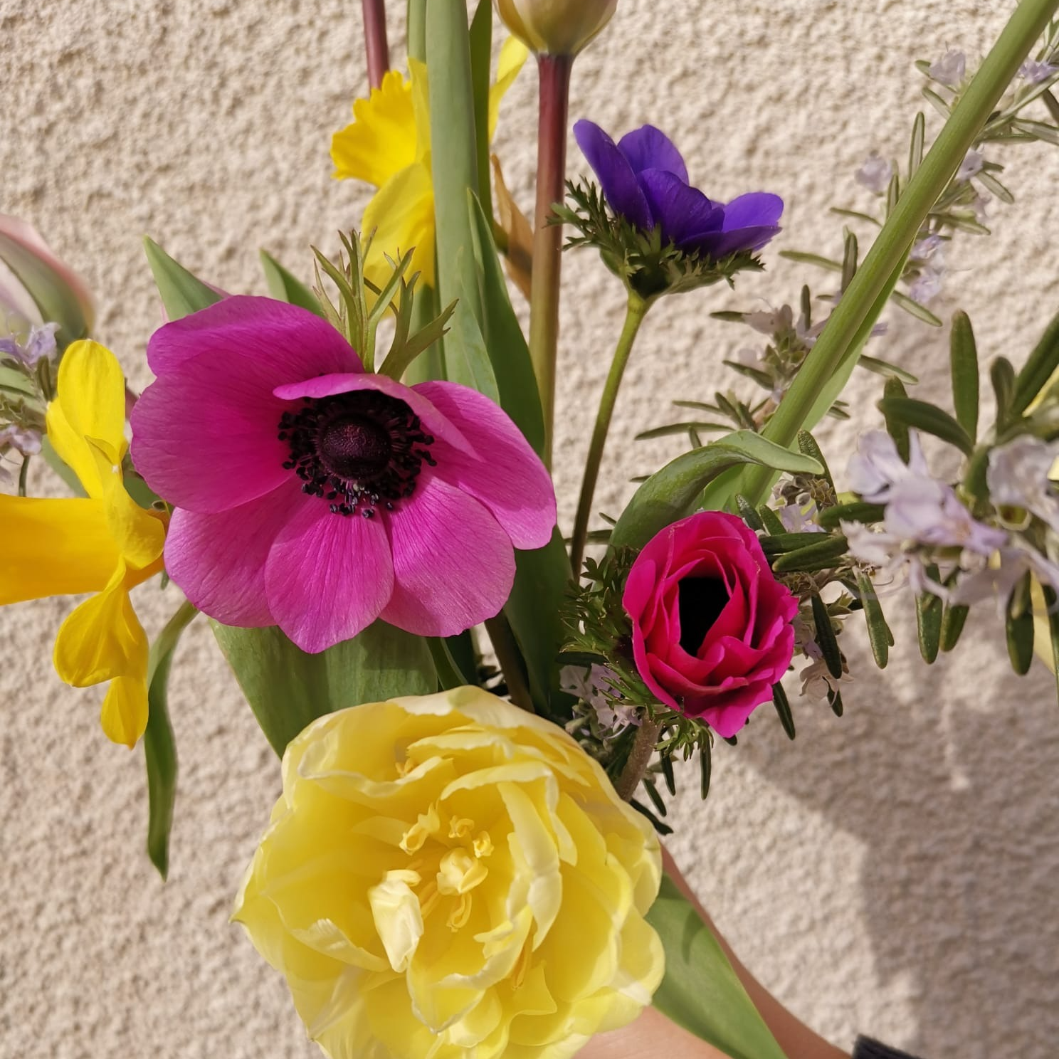 Bouquet fleurs locales,de saison,de Champlay - Grand format 20€