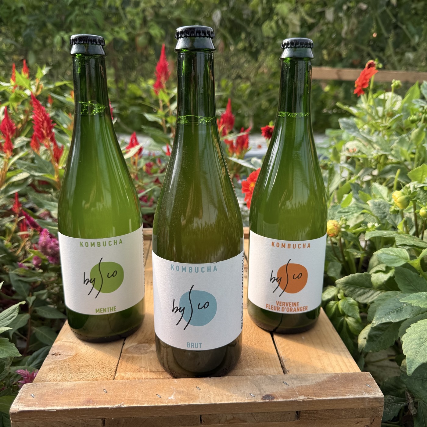 Coffret Kombucha Bio - 3 bouteilles 75cl (mélange 2 parfums)