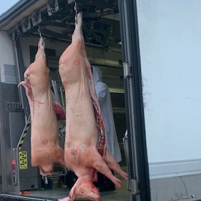 Demi porc - 65kg