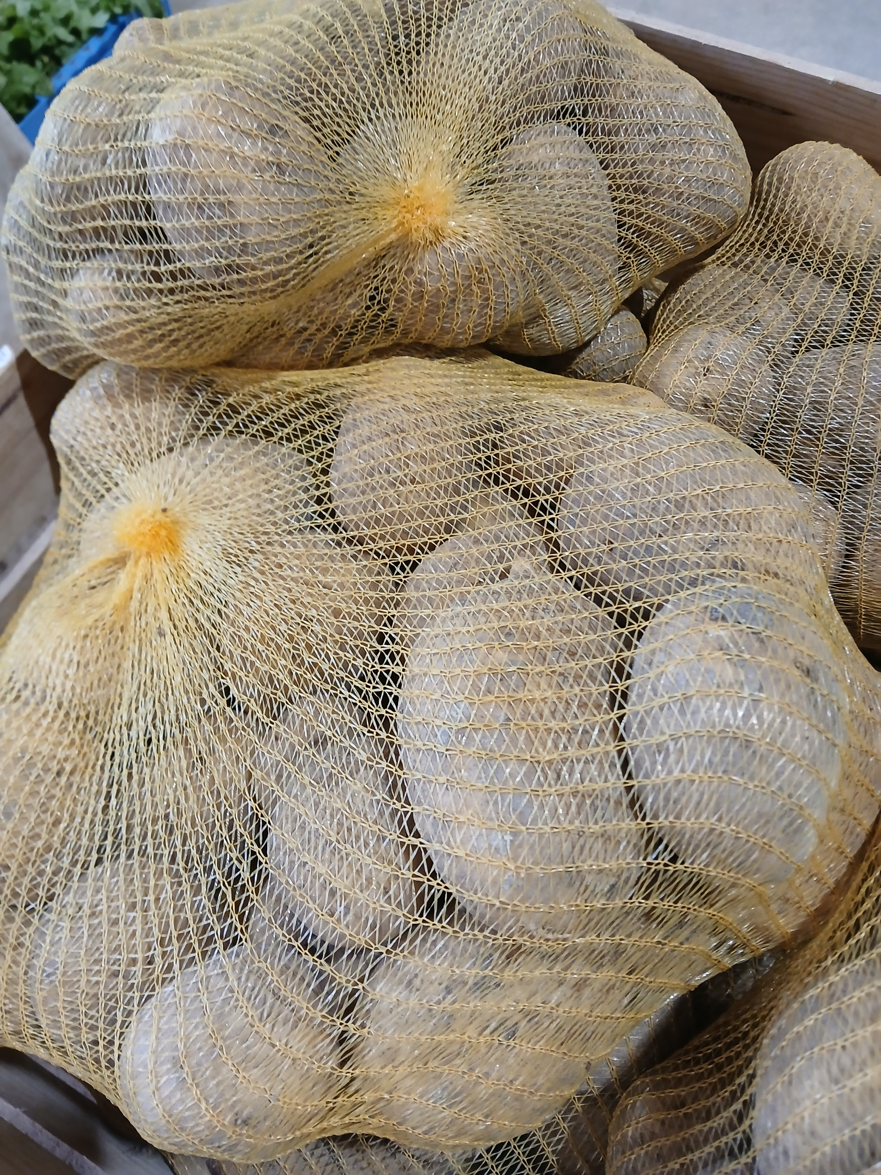Filet 5 kg Pomme De Terre - variété everest