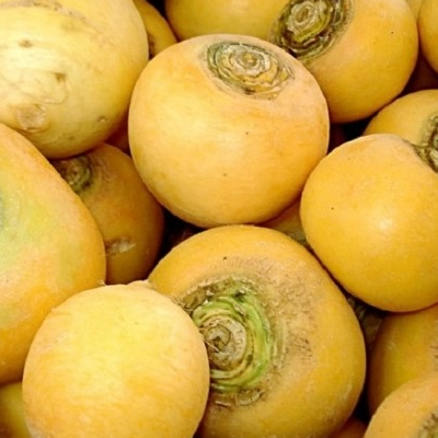 Navet Boule d'OR (pièce)