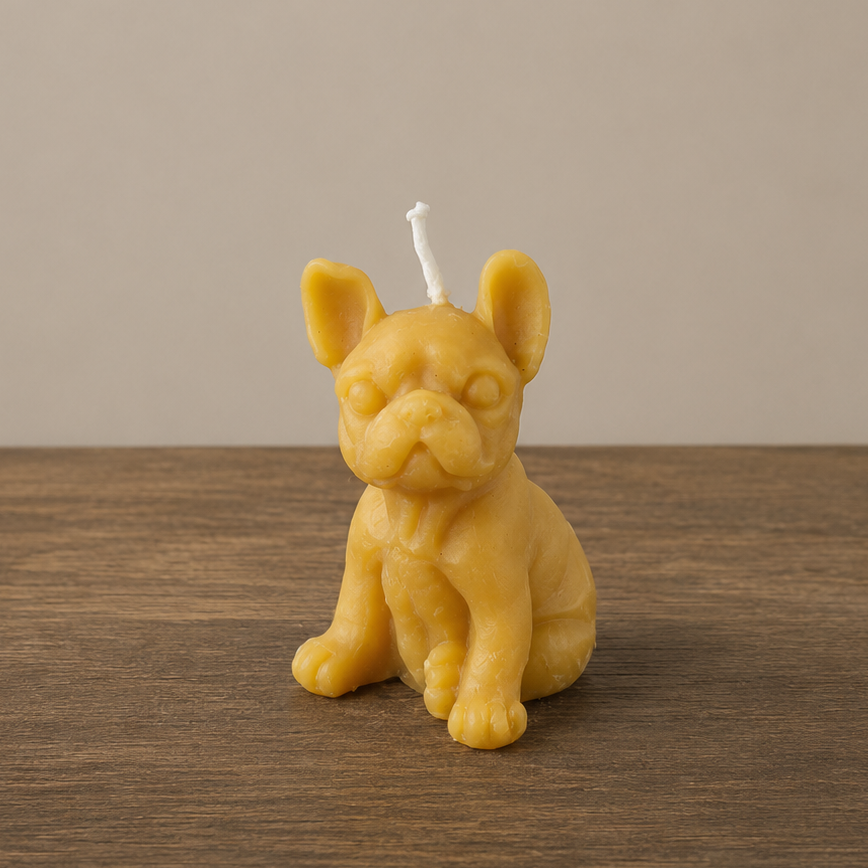 Bougie bouledogue