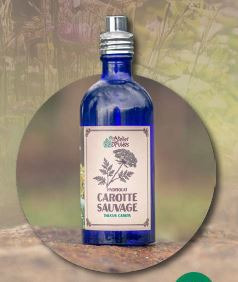 Hydrolat de carotte sauvage - 100ml