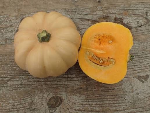 Courge carat (mini muscade) - Pièce - 1,5kg
