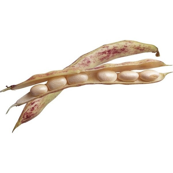 Haricot borlotto demi-sec