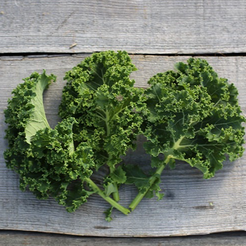 Une Botte de Chou Kale