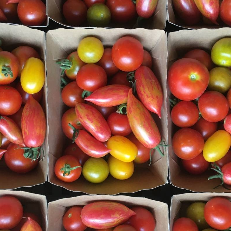 Tomates Cocktail