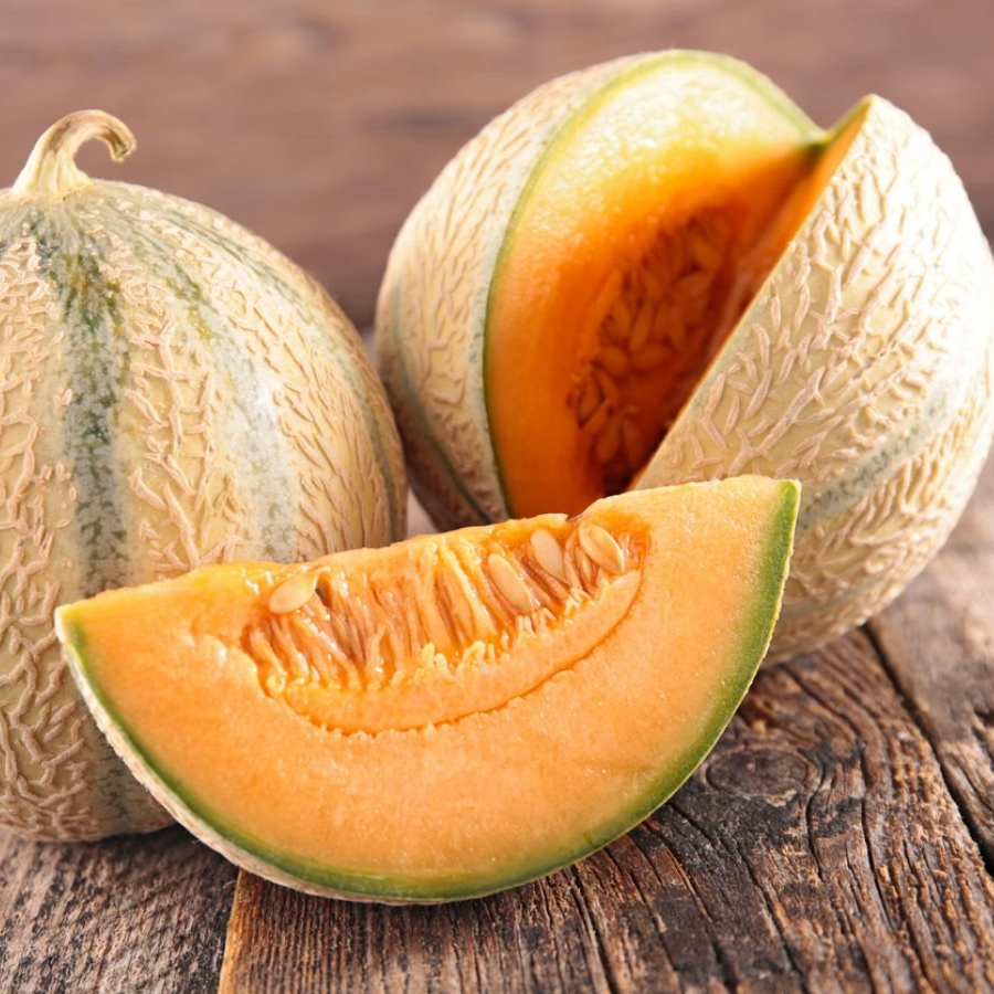 Melon - CHAMP DES PAPILLES - 1kg