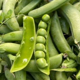 Petit pois à écosser - 500g