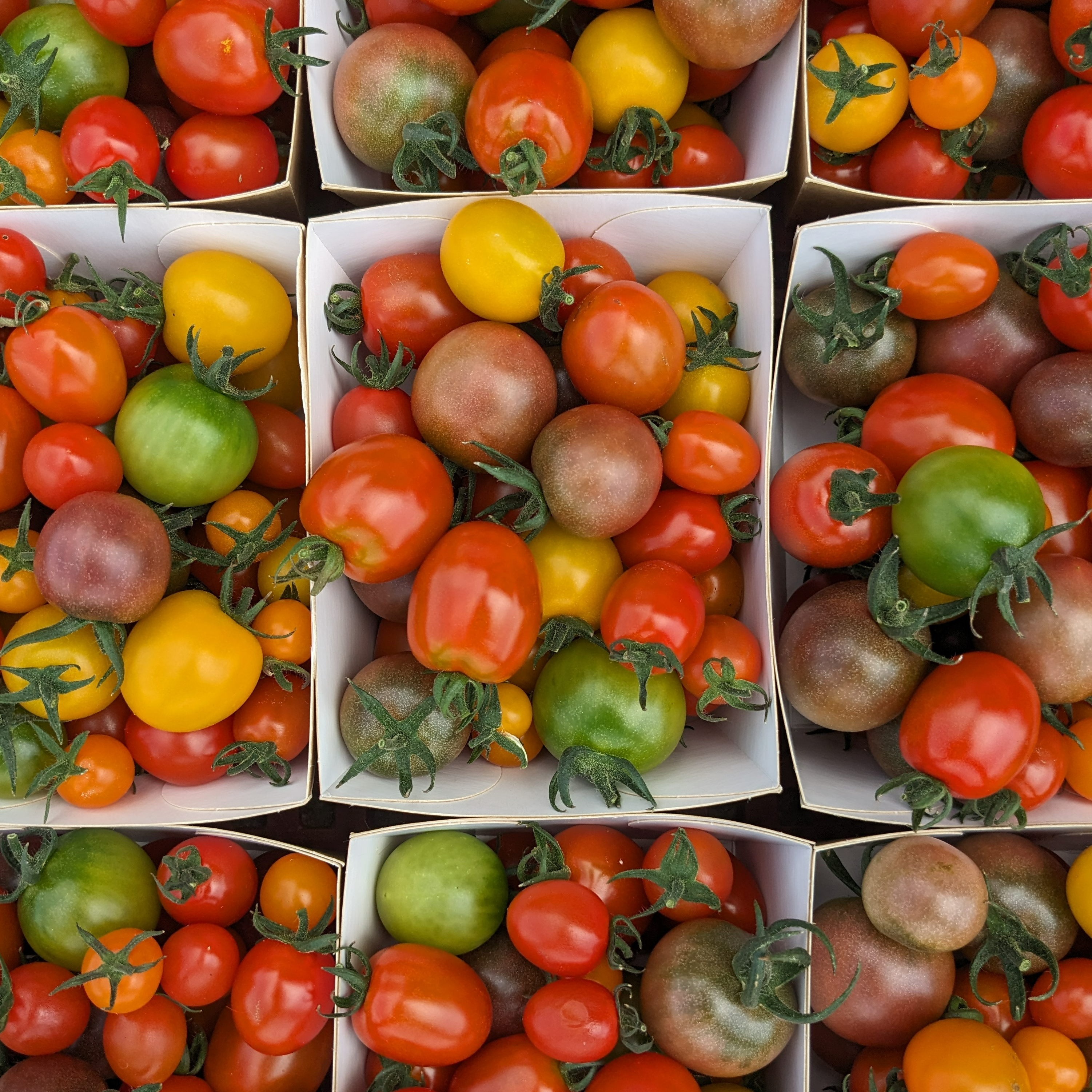 Tomates cerise (500g)