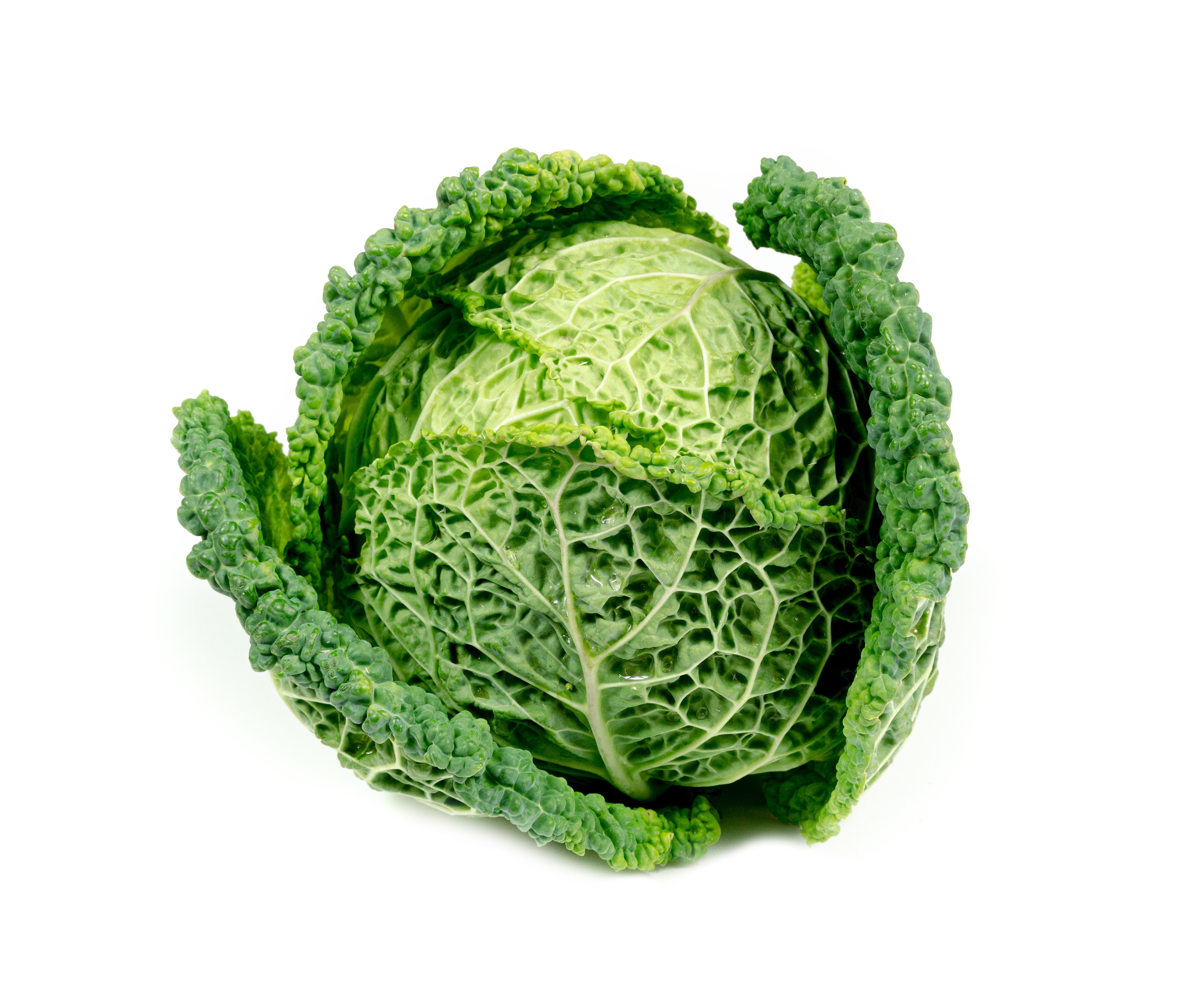 Chou vert frisé - 1kg