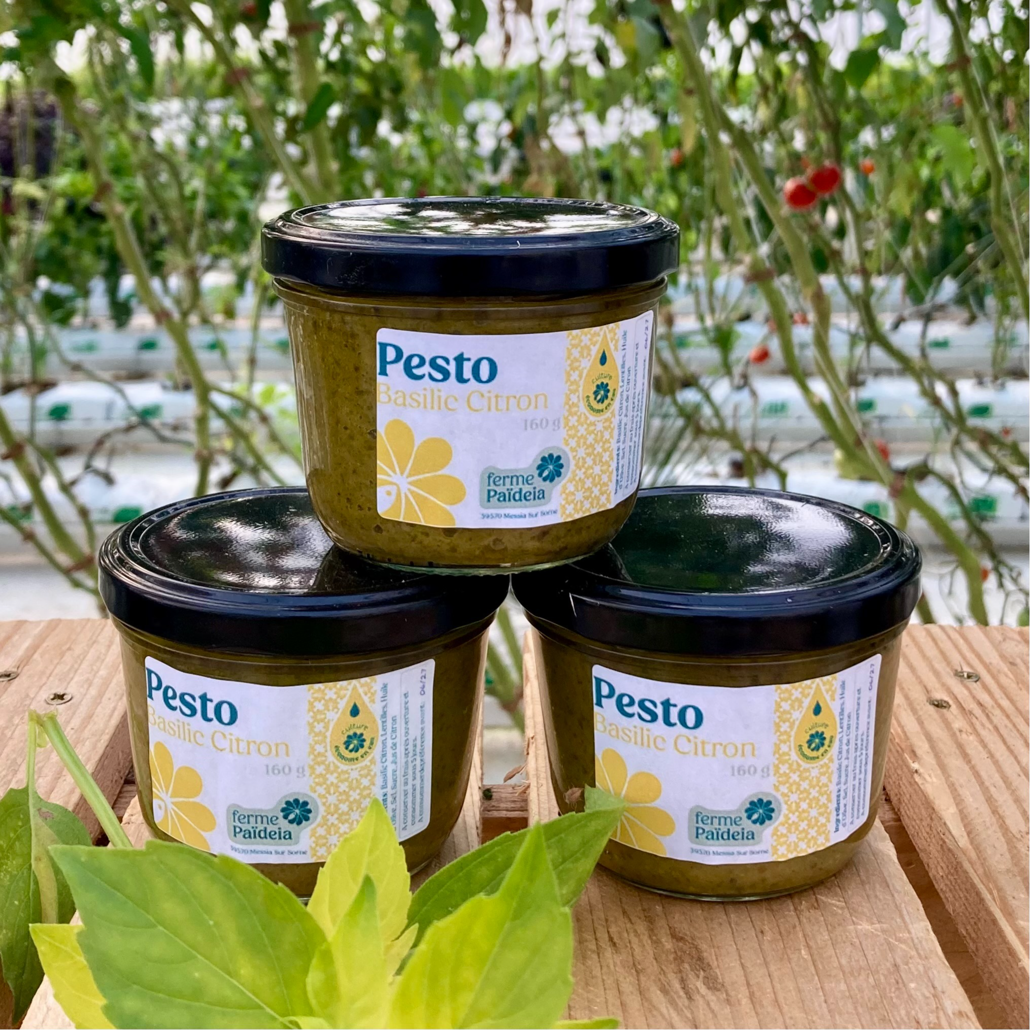 Pesto Basilic Citron / Noisette