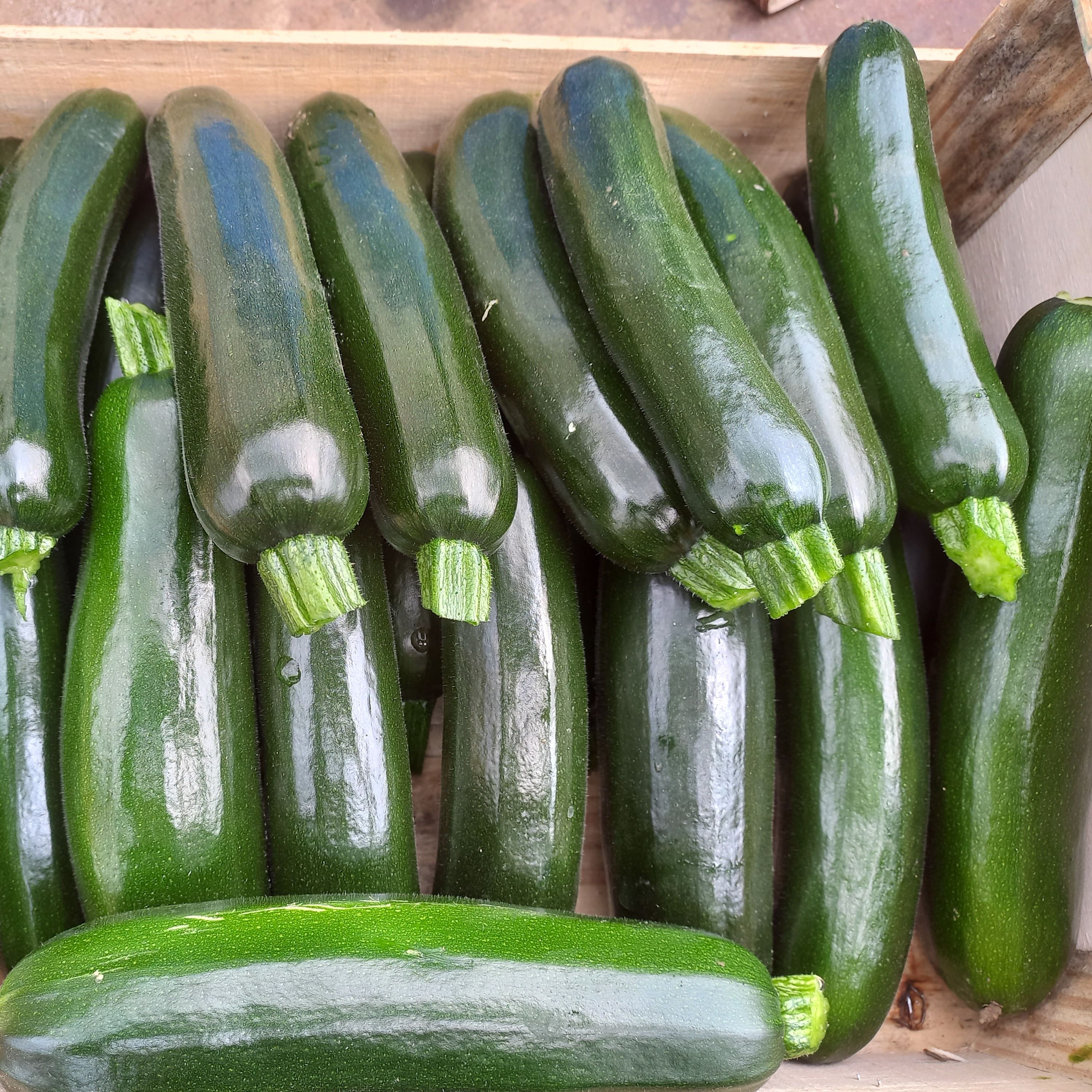Courgette verte - 0,5kg