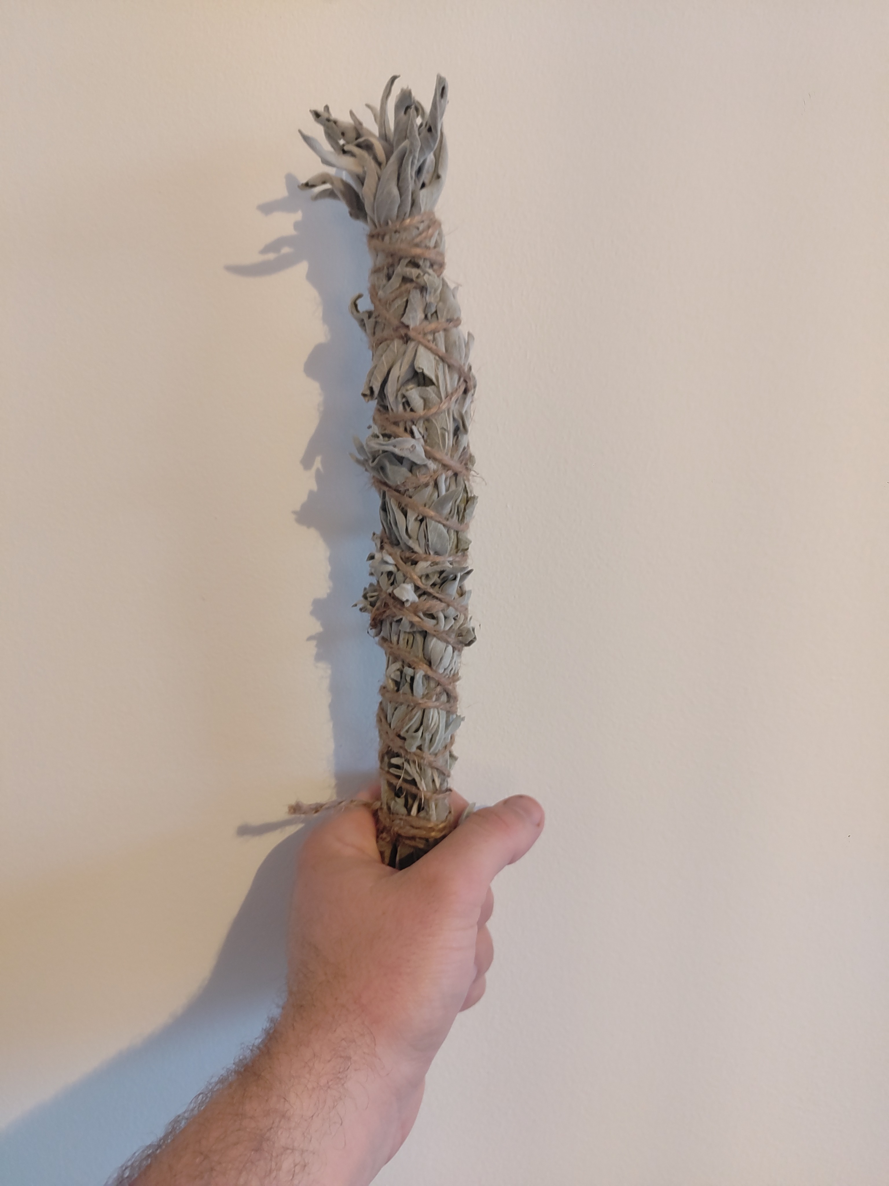 Bâton de fumigation SAUGE BLANCHE  grand format