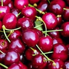 Cerise