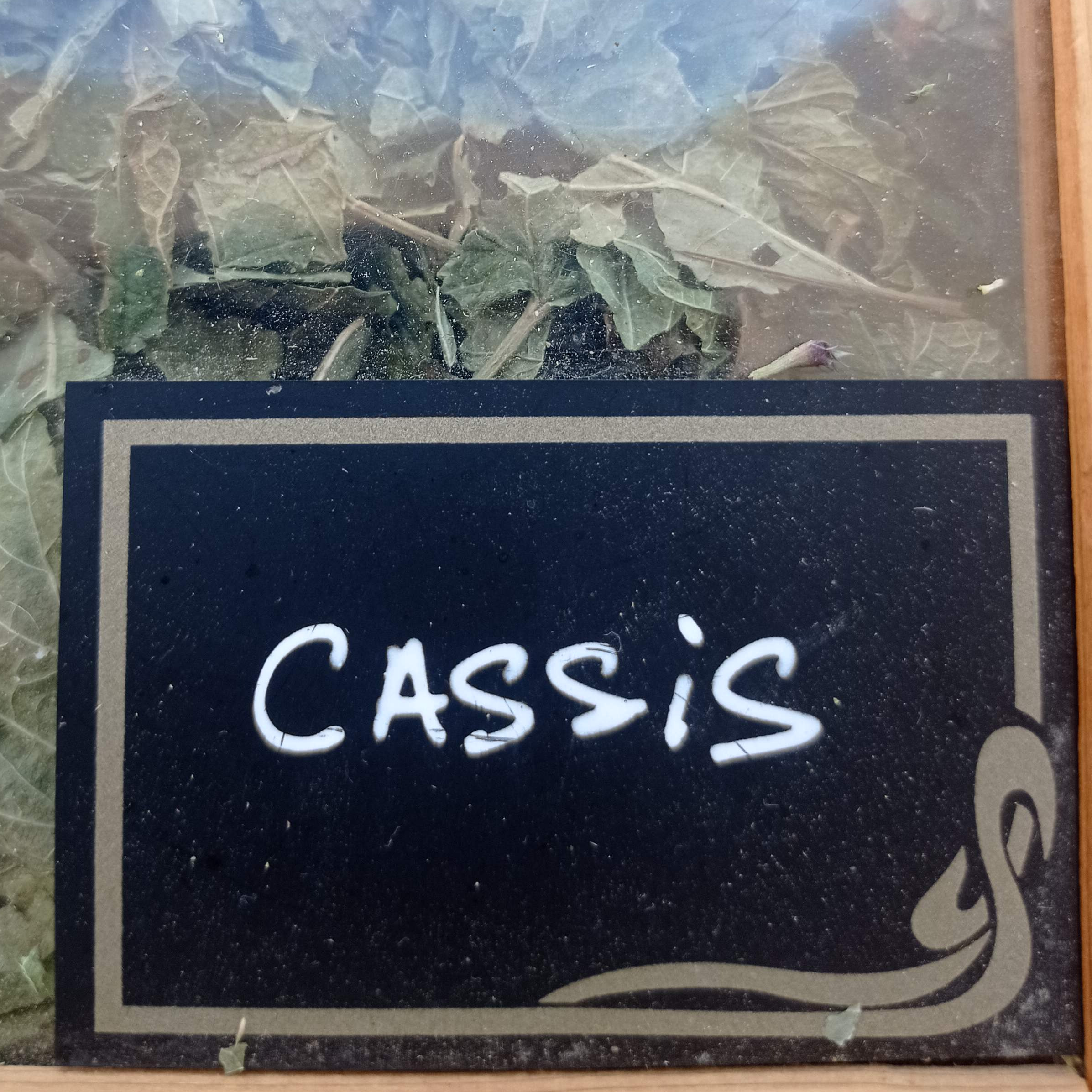 Cassis sachet de 25 g