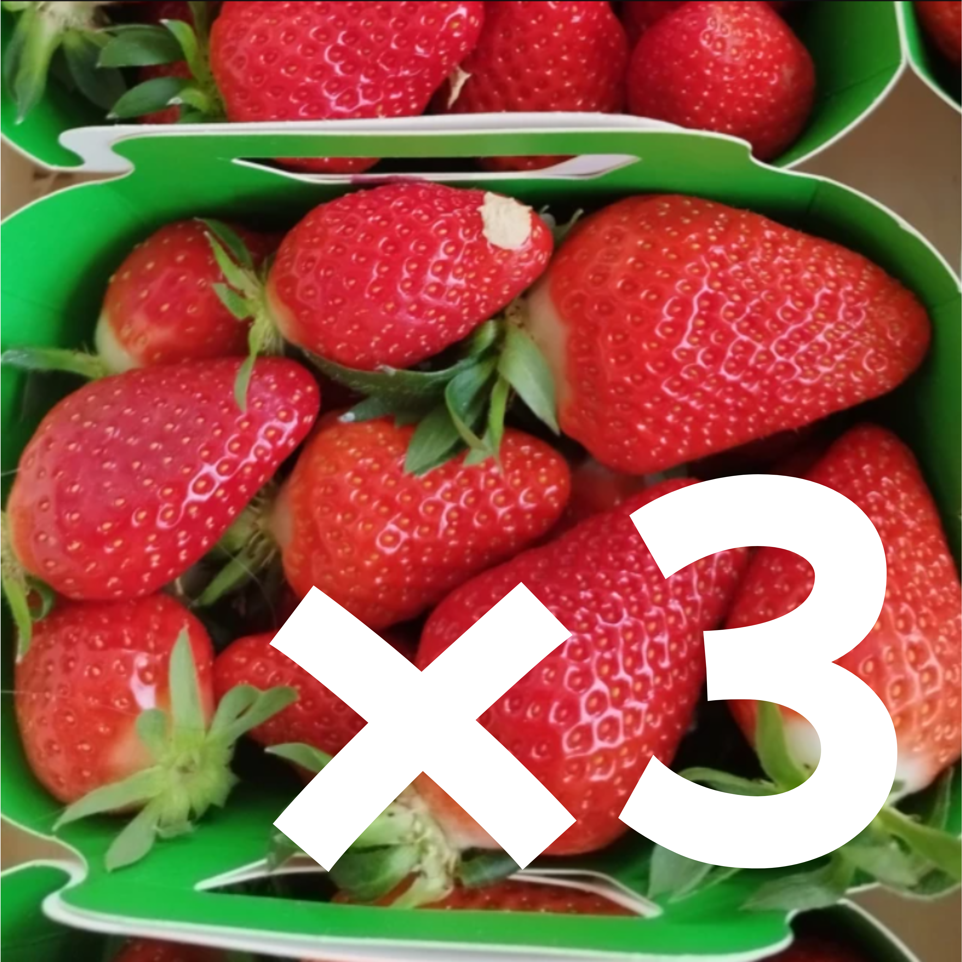Trio Découverte Fraises - 3 variétés x 250g