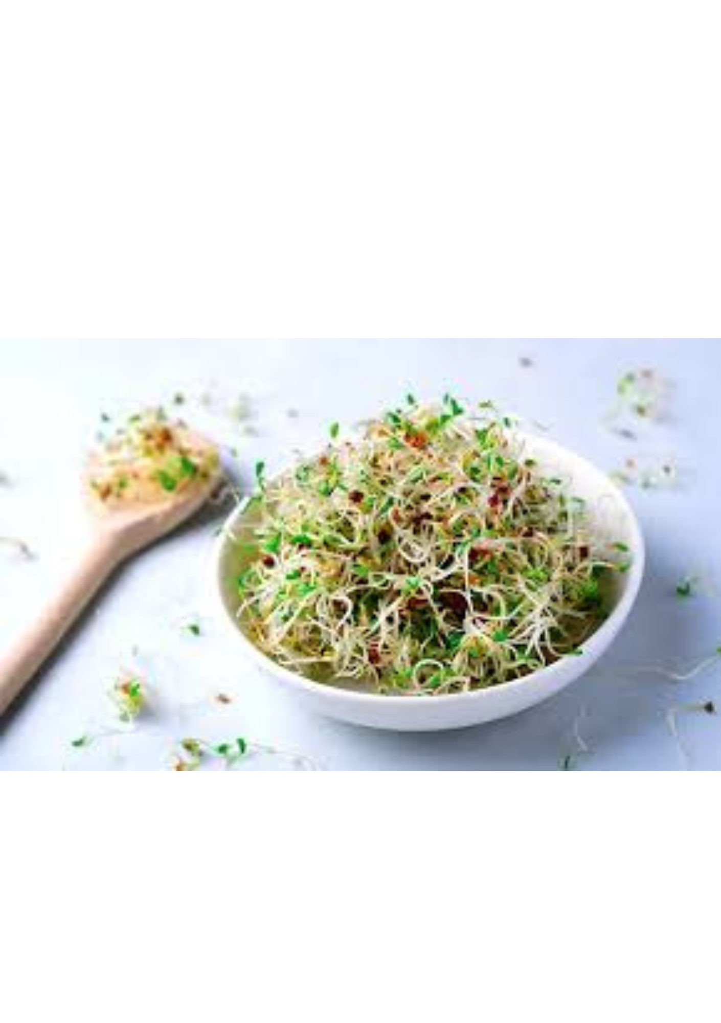 Graines Germées / Alfalfa Radis Trèfle - 30g