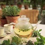 Tisane – Délices Des Filles - 50g