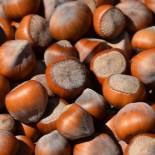 Noisette coque - 200g