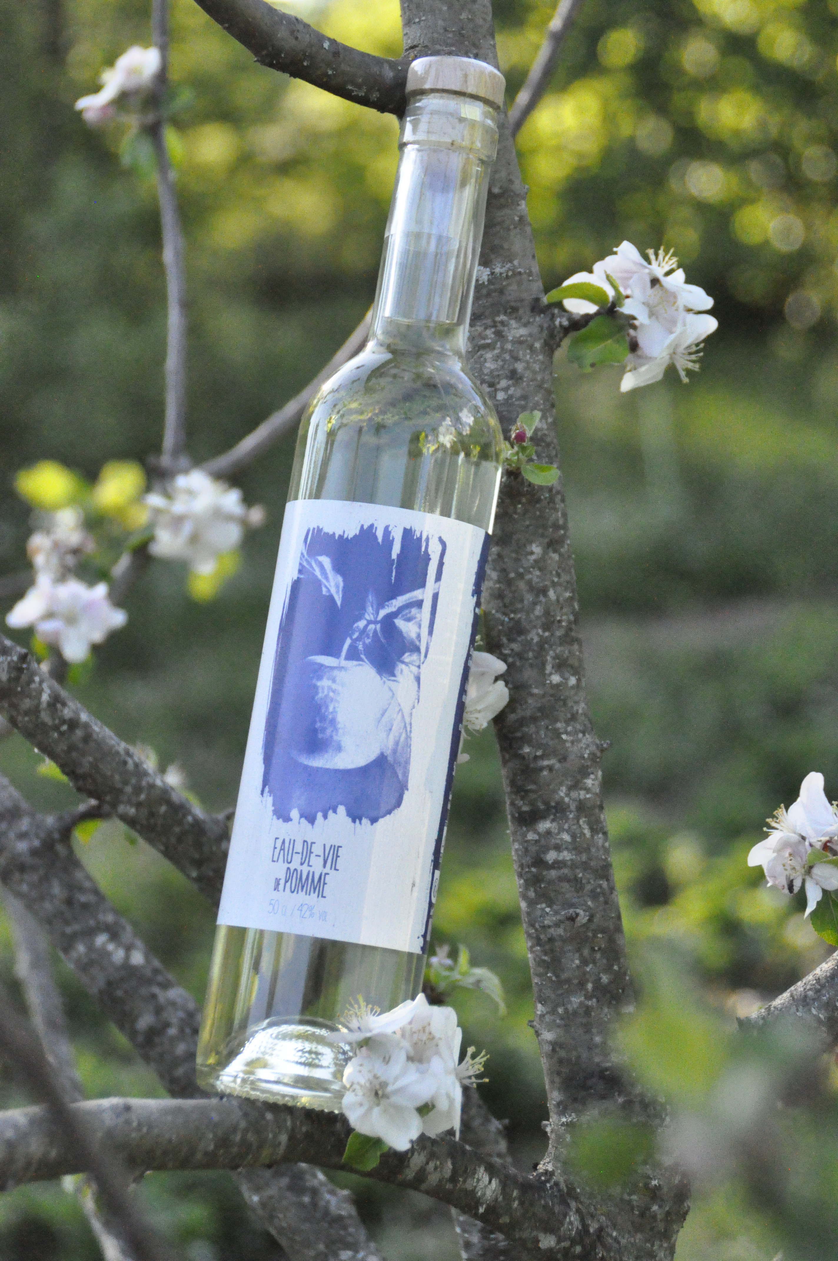 Eau-de-vie de pomme 42&nbsp;% - 0,5cl