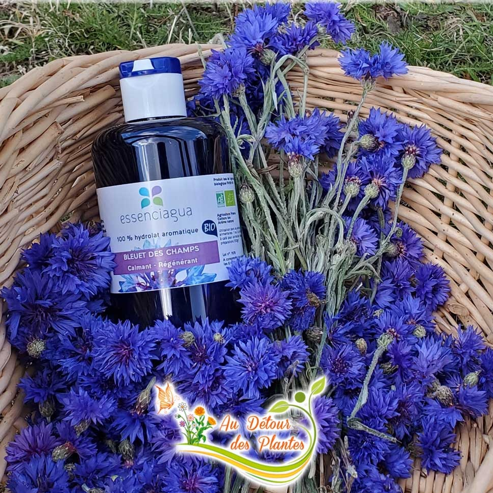 Hydrolat de Bleuet - 250ml