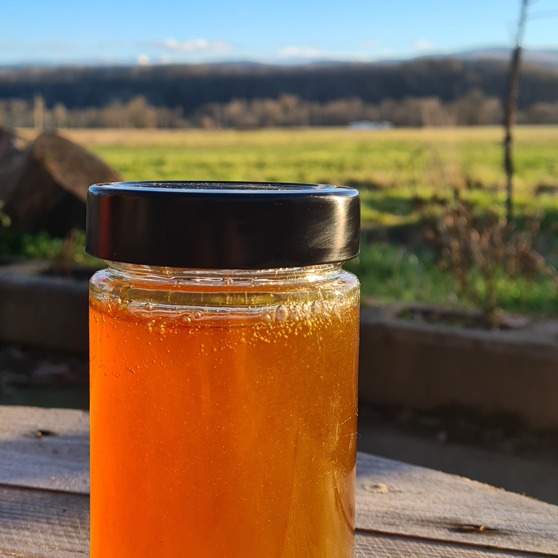 Miel de printemps 🌸 - 0,4kg