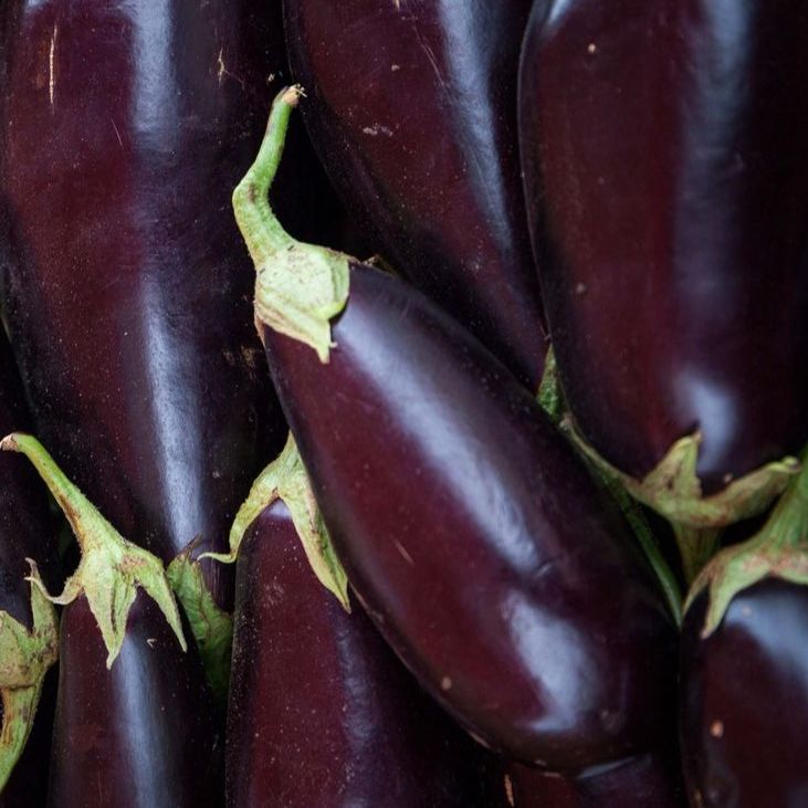 Aubergine noire - 500g