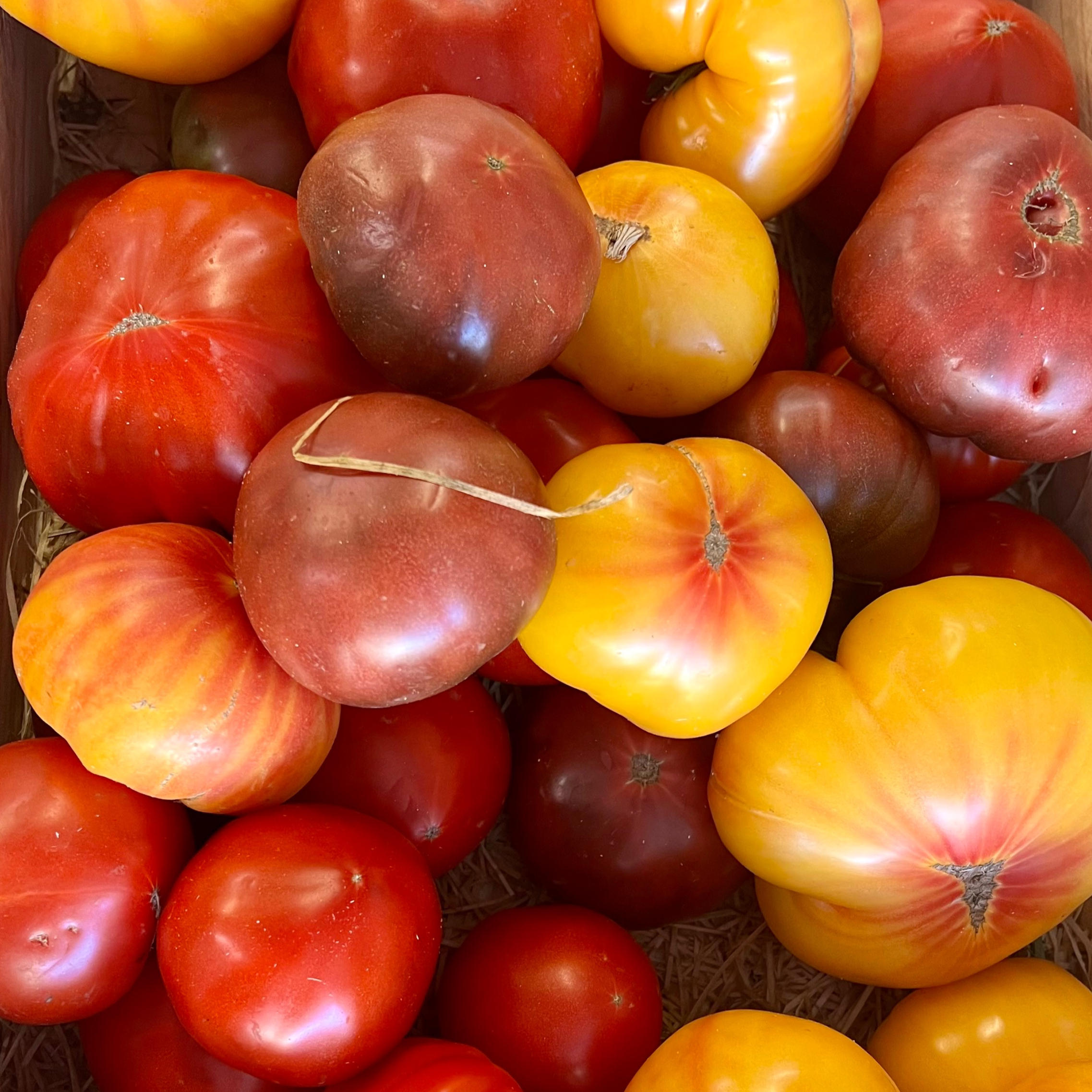 Tomates anciennes 1kg