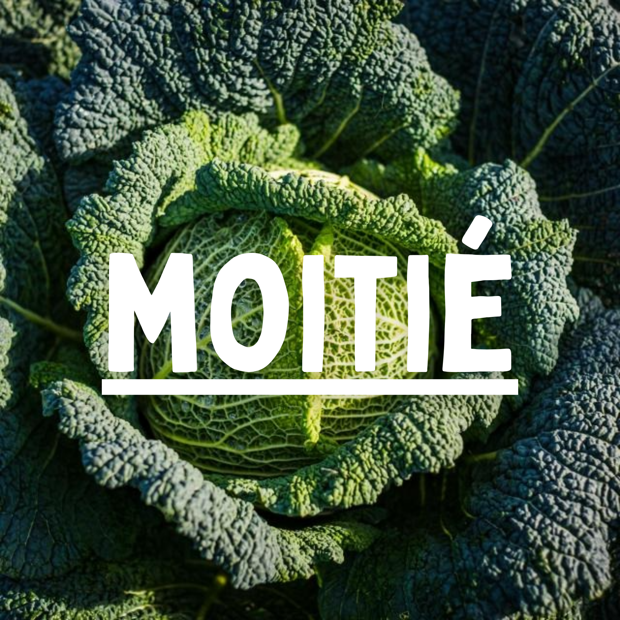 Chou vert frisé - moitié