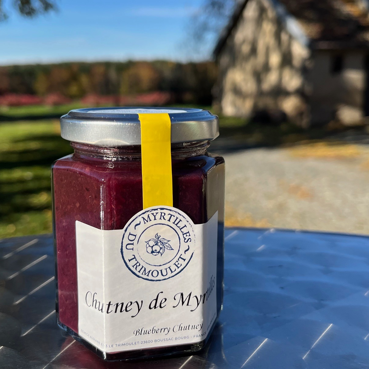 Chutney Myrtilles - 180g - 180g