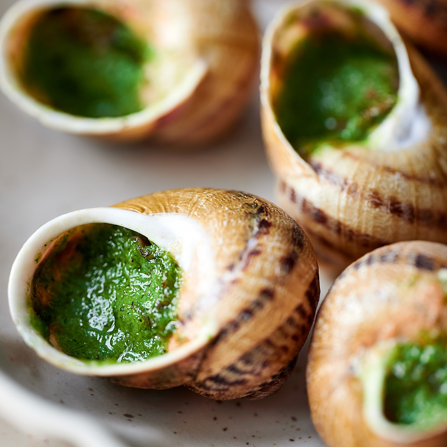Escargot En Coquille/Assiette - 100g