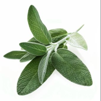 Bouquet - Sauge officinale - 60g