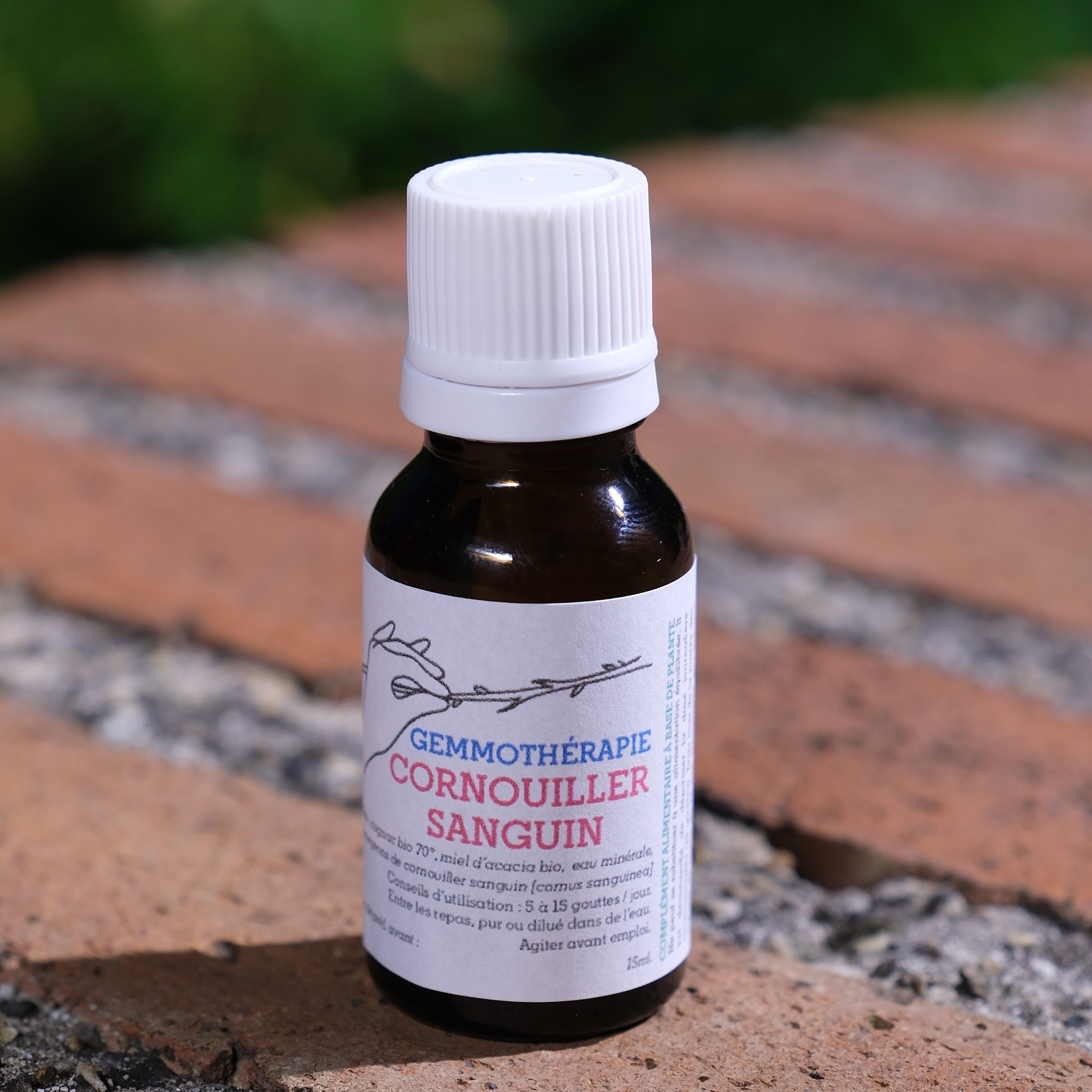 Cornouiller sanguin • Sang, Cœur, Artères & Ménopause - 15ml