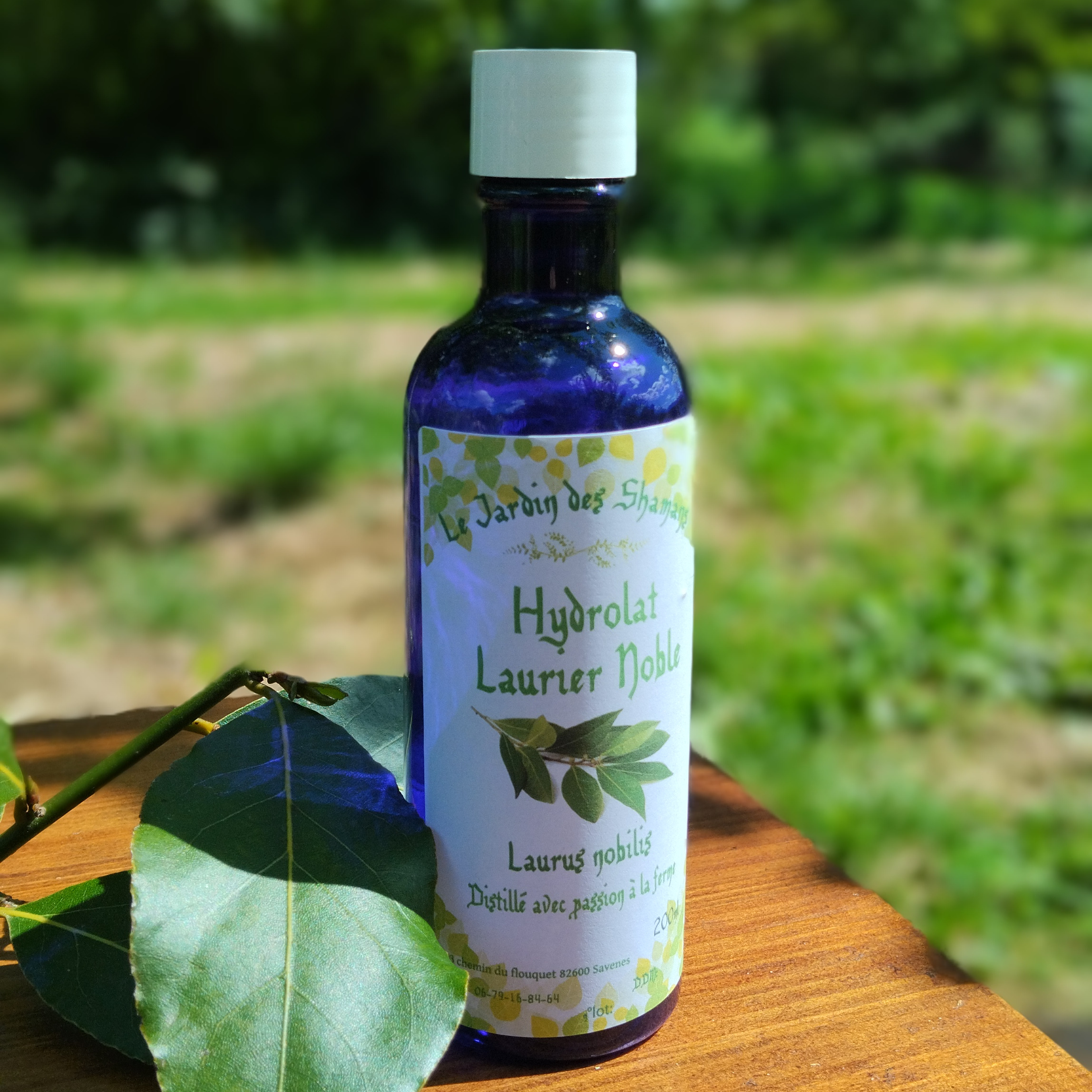 Hydrolat Laurier Noble "laurus nobilis" - 200ml