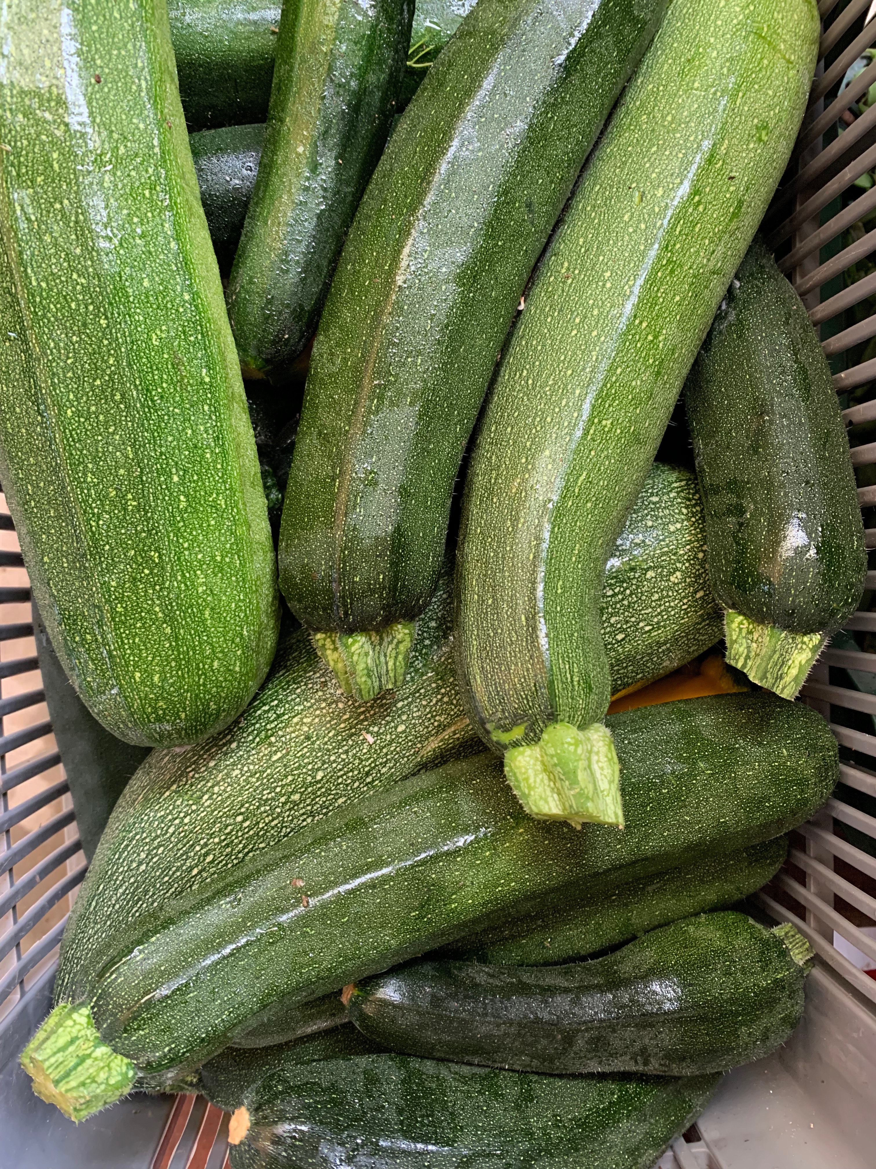 Courgettes - 175g