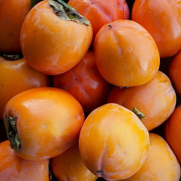 Kaki rouge brillant - 250g