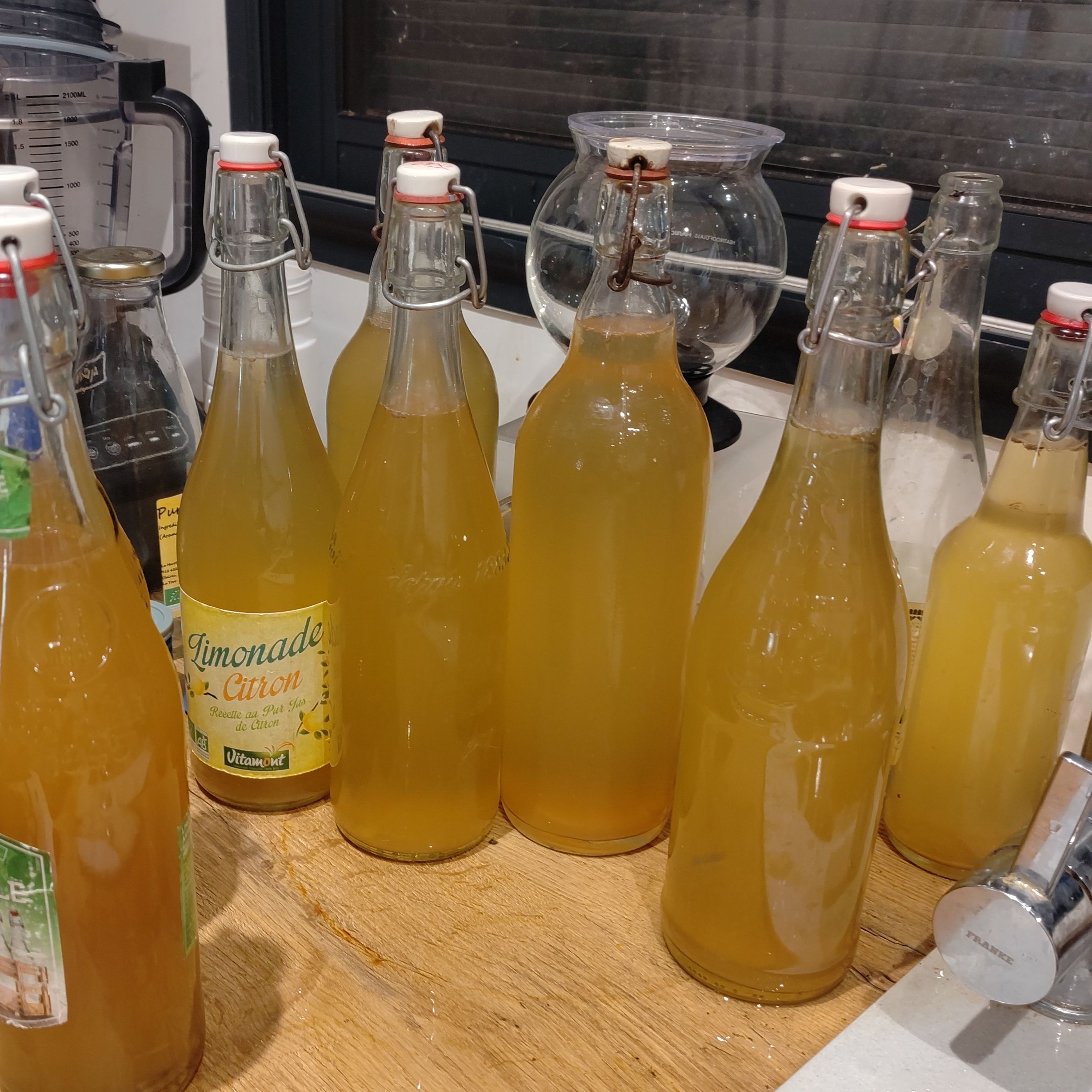Kombucha Lavande & Miel de tilleul 75 cl