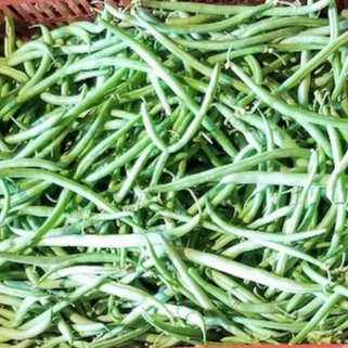 Haricot vert - 500g