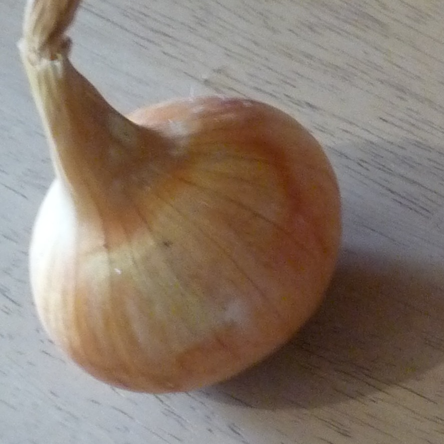 Oignons jaunes - 500g