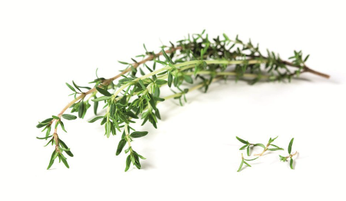 Bouquet - Thym commun - 40g