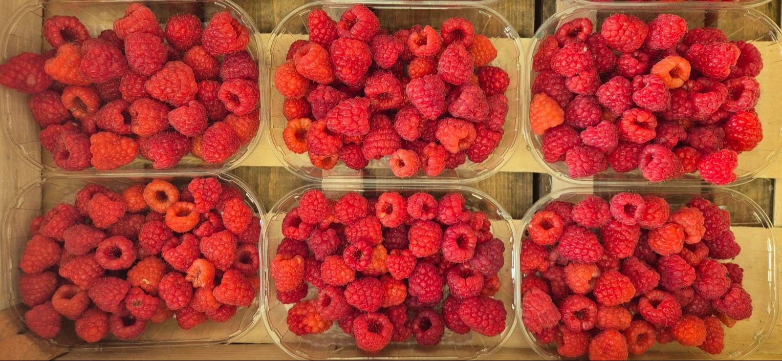 FRAMBOISE - 250g